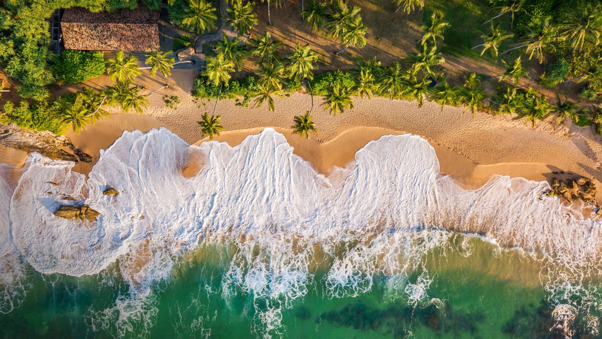 Luxury Sri Lanka coastline viewed from above